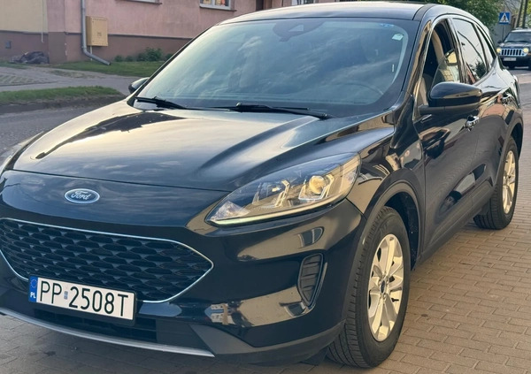 Ford Kuga cena 80000 przebieg: 130000, rok produkcji 2020 z Margonin małe 172